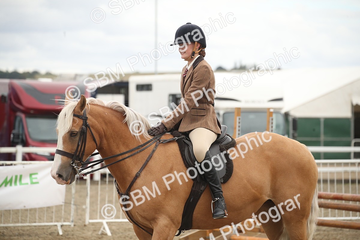 SBM_18311 - Class 509a - Working Veteran - 80cm (15-19)