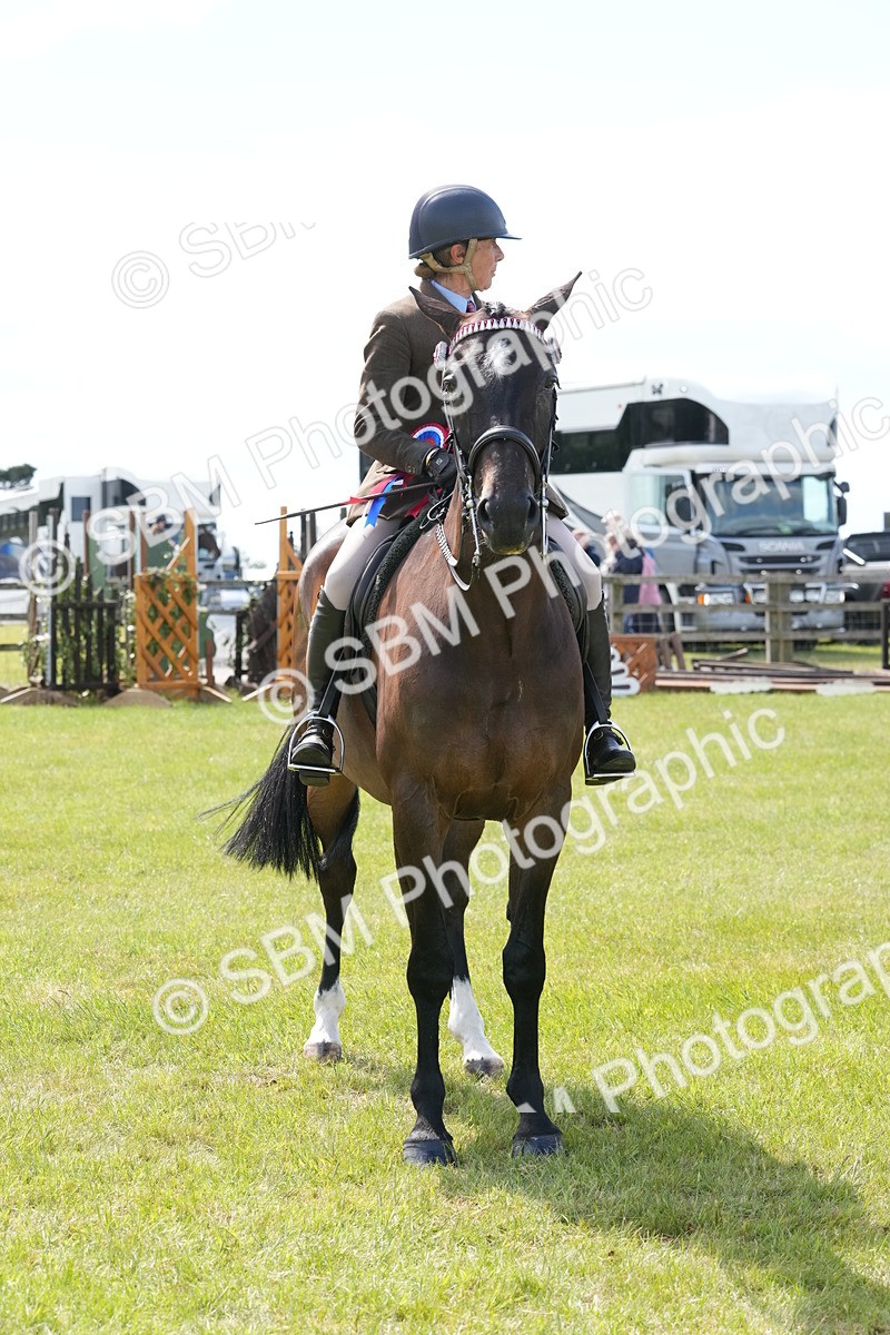 SBM_16309 - Class 105-106 - RIHS Riding Horses