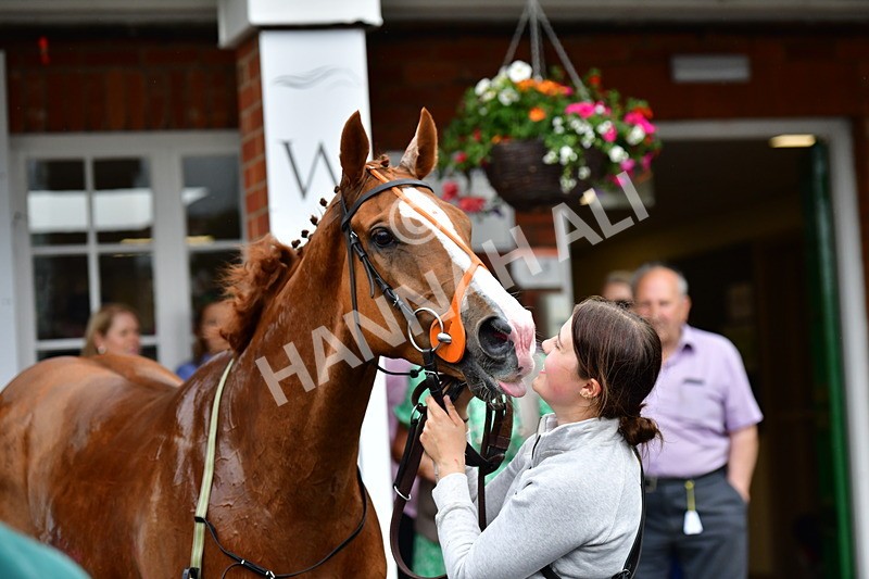 170625-Race 7-American Bay-4400