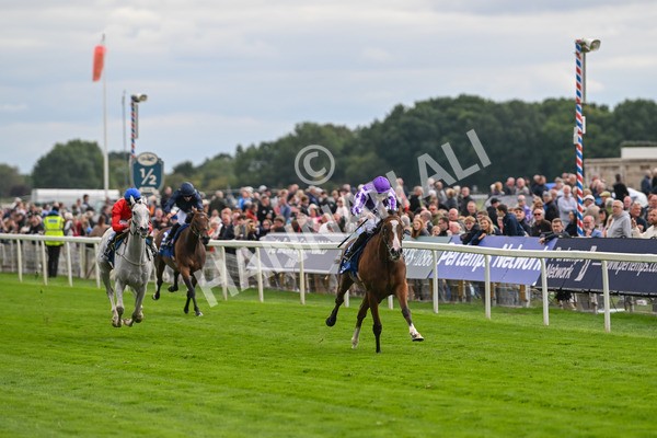 210825-Race 4-Minnie Hauk-4678 - Race 4 3.35pm Pertemps Network Yorkshire Oaks