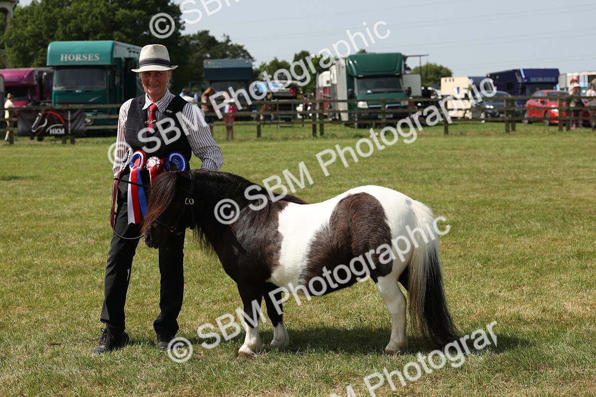 W29_2241 - Class 16 - Overal Mountain and Moorland In Hand inc. Silver Medal