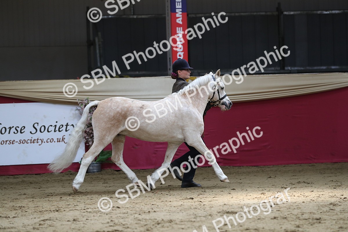 SBM_04330 - Class 7R Regional - IH Diamond