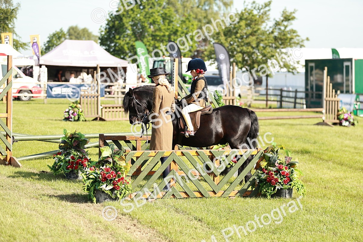 SBM_11271 - Class 106-107 - BSPS LIHS Working Sports Pony