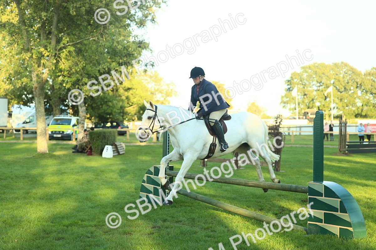 SBM_56433 - S14 - Riding Club Horse