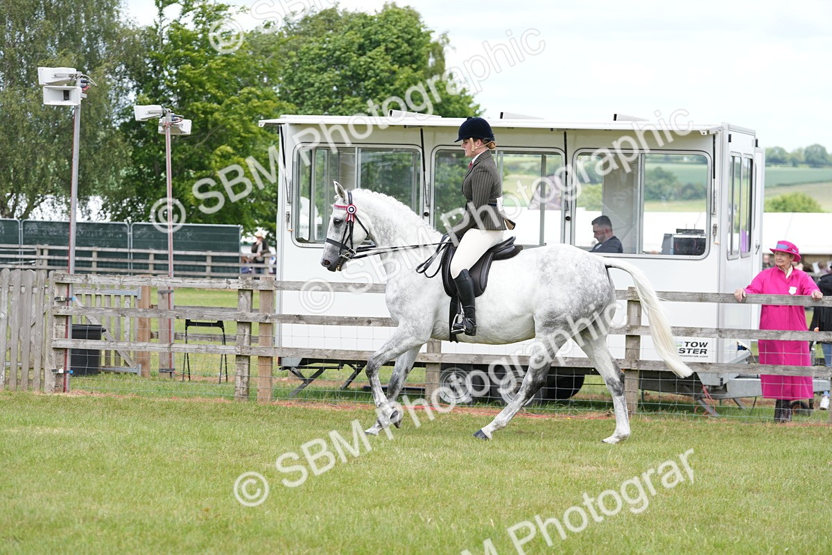 SBM_16179 - Class 105-106 - RIHS Riding Horses