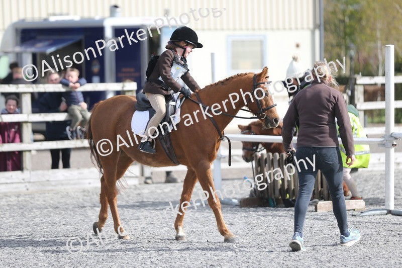 20260412-0094 - Show Jumping
