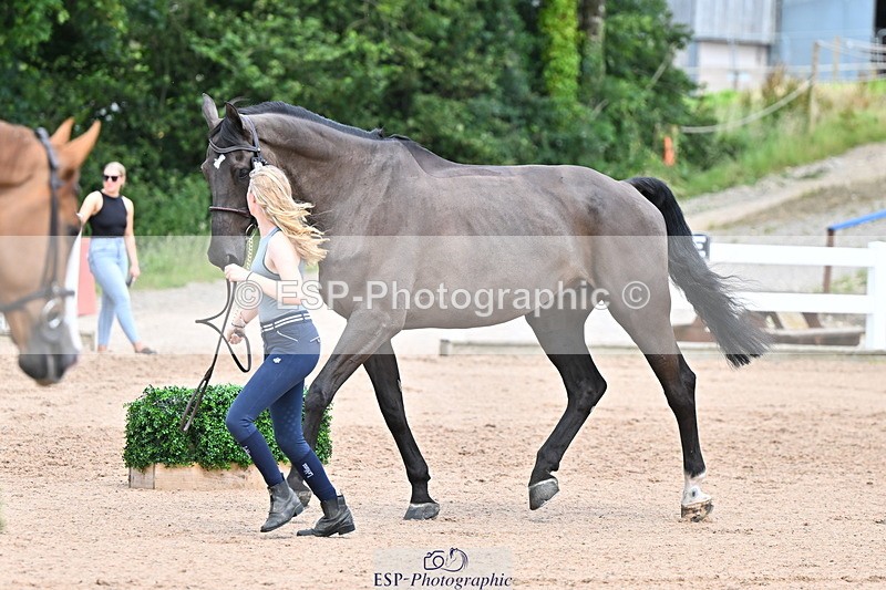 240718A-105323-01942 - Trot Up 2pm to 3pm - This folder is not in time order