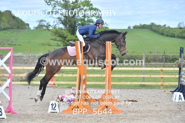 BPP_5644 - CLASS 24 SUN Senior BritiNovice/ 90cm Open