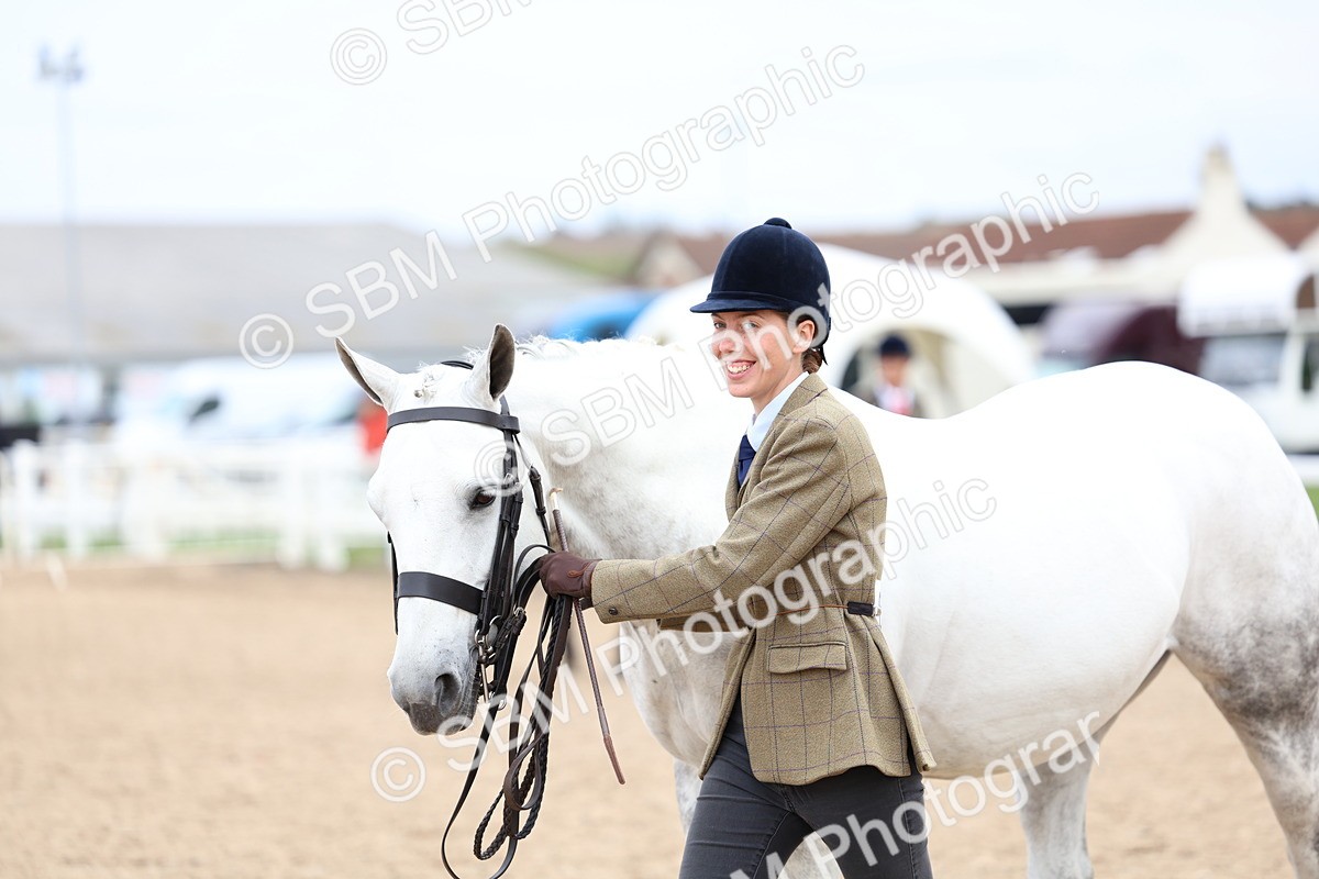 SBM_05784 - Class 28 - IH Veteran Horse