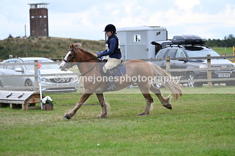 WJ7_7711 - 40cm Time 10:49 to 11:18