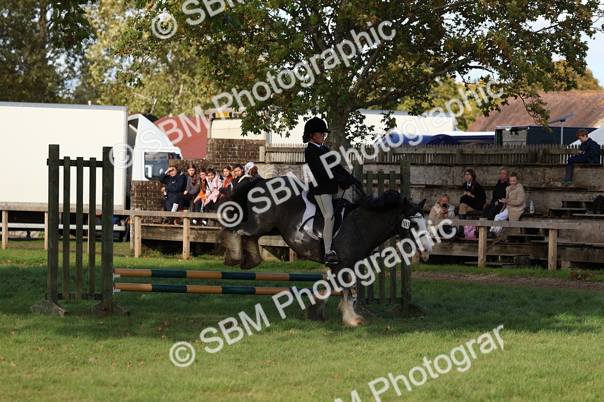 SBM_52489 - S13 - Pony Club Pony