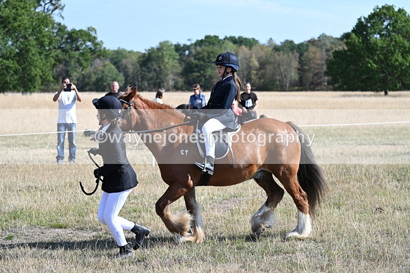 WJ7_3014 - Class 8 Ridden Tack & Turnout
