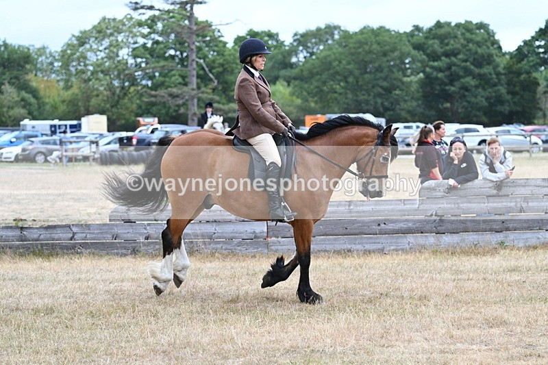 WJ7_0550 - Class 6 Ridden Mountain and Moorland