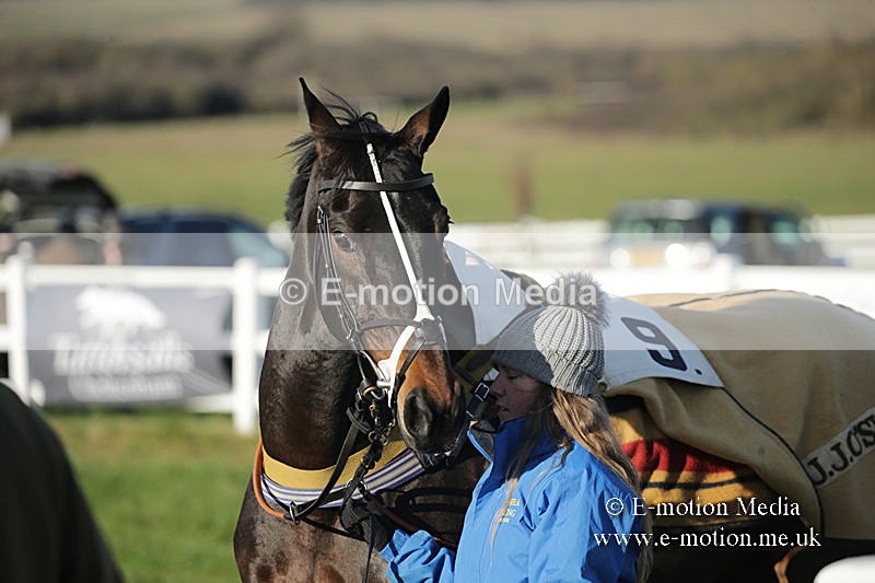 PtP 011219-0014 - Hursley Hambledon Hunt Point-to-Point 01/12/19