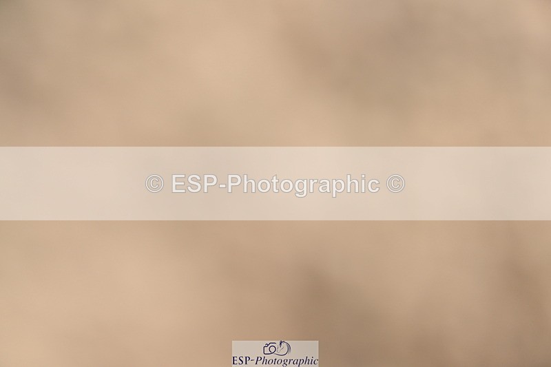 240514A-162739-00047 - 70cm