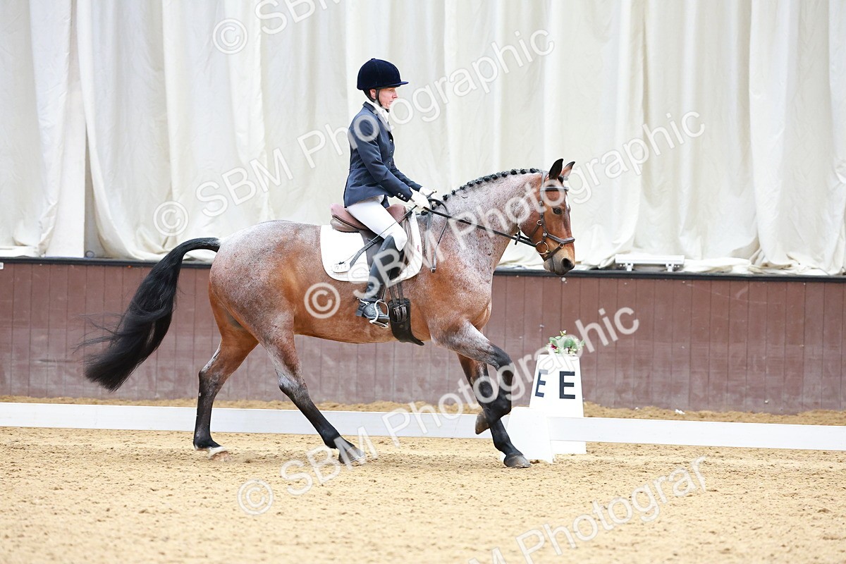 SBM_000669 - Class 5 - CT Novice 2-70cm