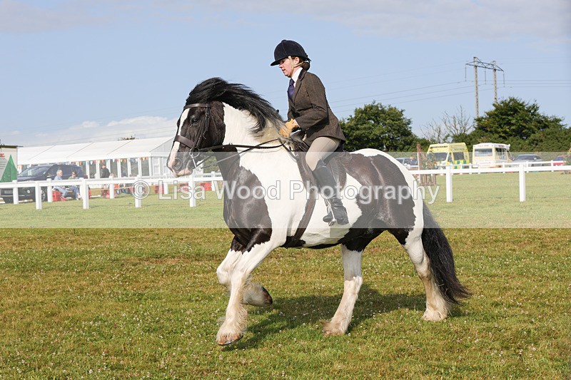 1X9A3158 - Class 27:  Ridden Native/Trad Coloured Horse