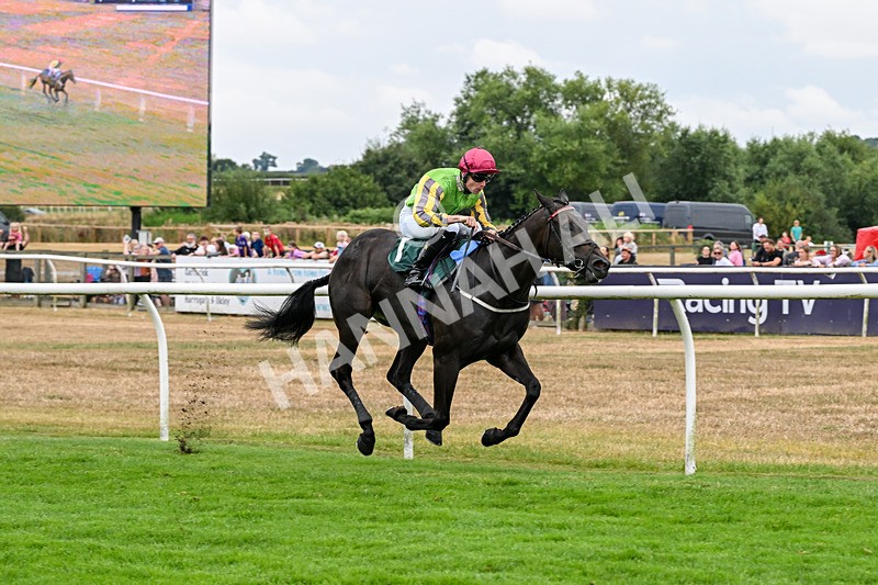 170826-Race 4-Star Noir-9598 - Race 4 15.45pm Constant Security Services Novice Stakes
