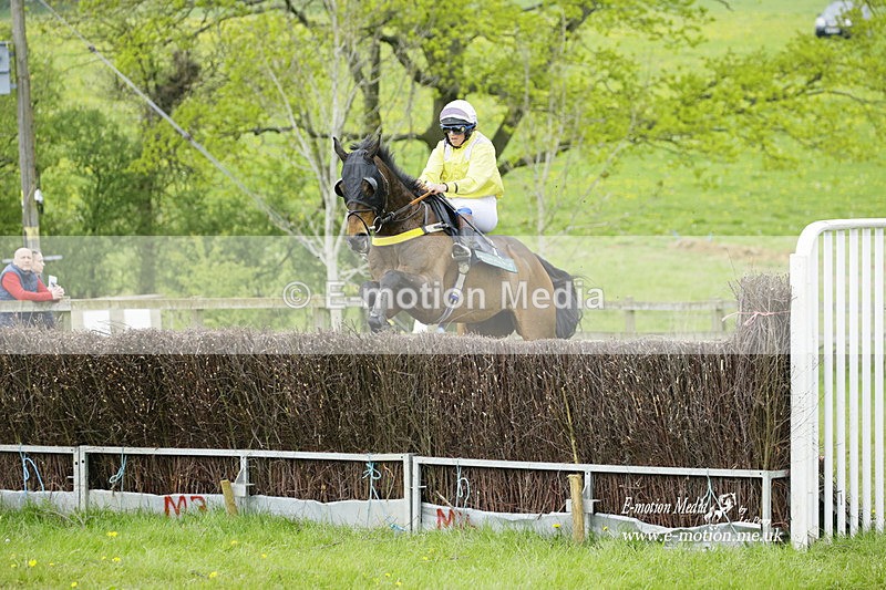 PtP 020522 378 - Mollington Races Point-to-Point 02/05/22