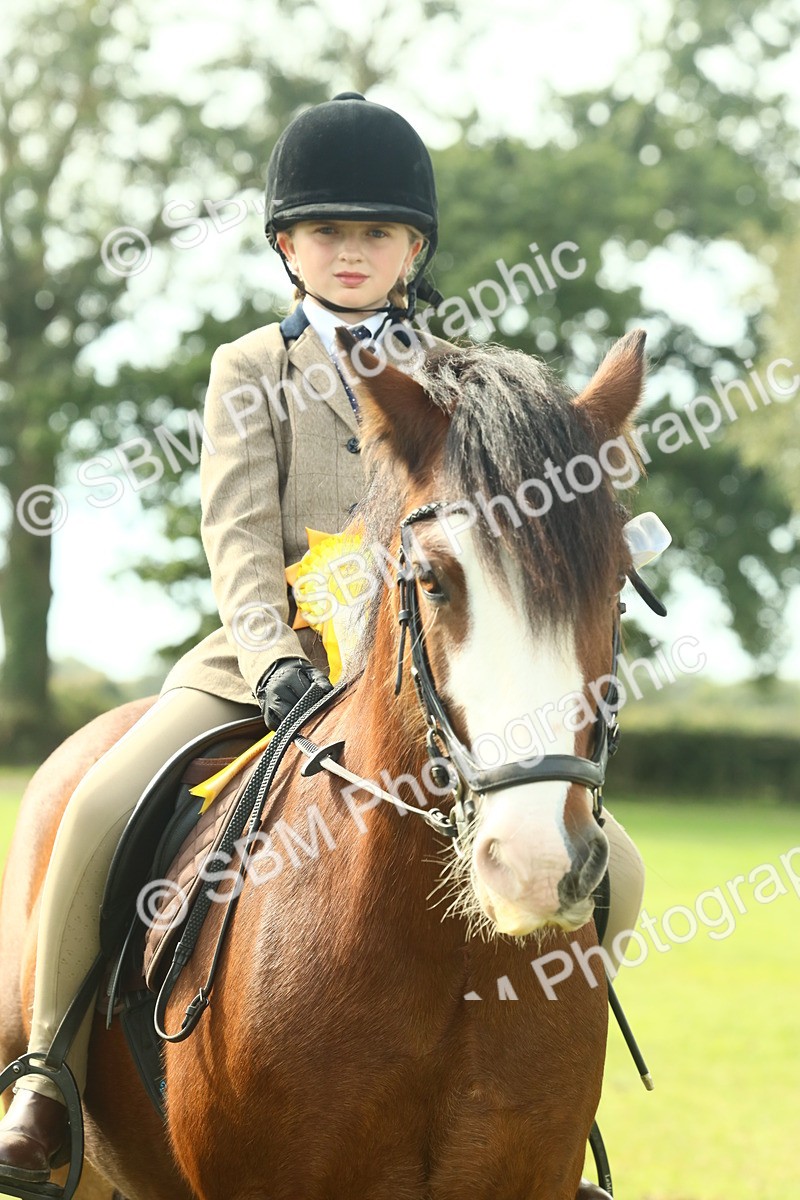SBM_68167 - S57 - Part Bred Pony Ridden