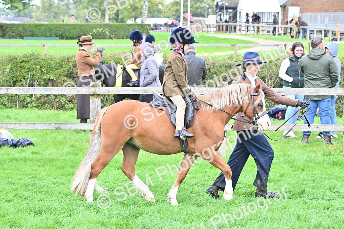 SBM_40114 - S20 - Lead Rein Mountain & Moorland Pony