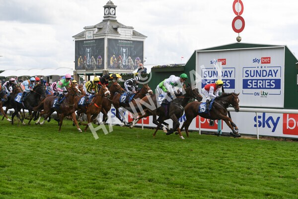 yr22052022r6-16 - Race 6: 6:05pm Sky Bet Sunday Series Stayers Stakes