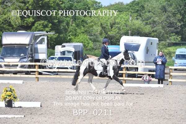 BPP_0211 - SHORT ARENA  MY QUEST PRELIM