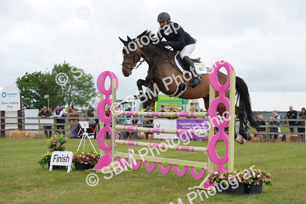SBM_05151 - Class 201 - British Horse Feeds Speedi Beet Horse of the Year Show Grade  C