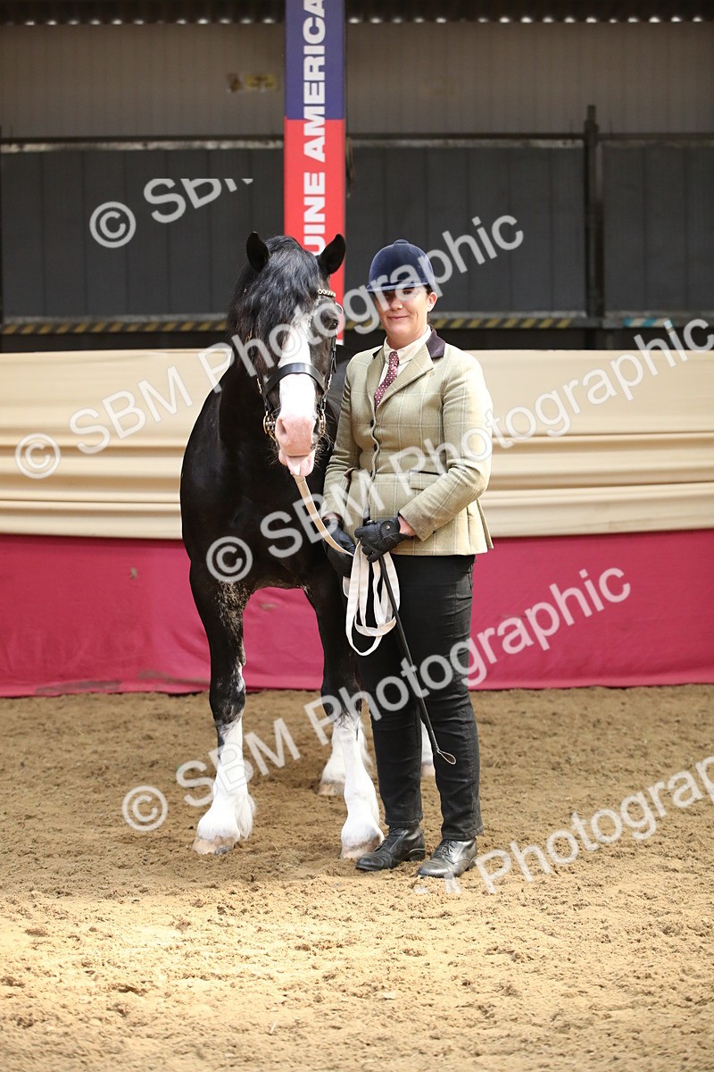 SBM_05394 - Class 8R - Regional IH Veteran