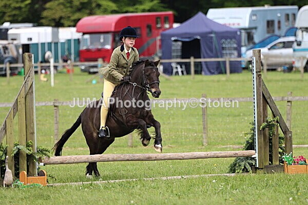 IMG_2577 - Working Hunter