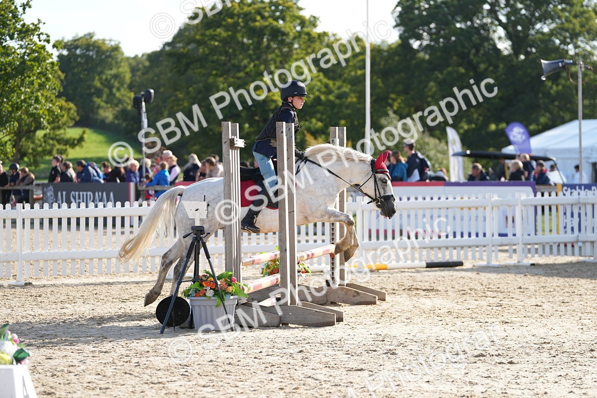 SBM_50911 - J8 - Junior Pony 65cm Championship