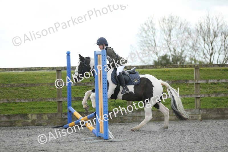 20260412-0621 - Show Jumping