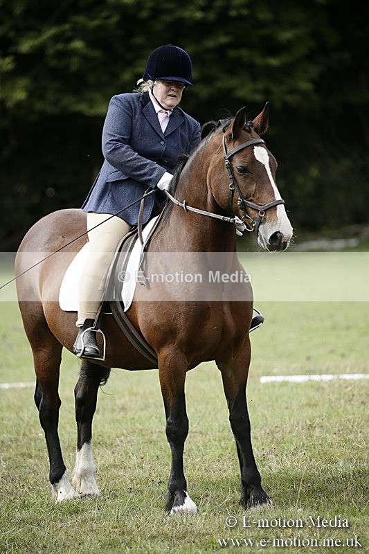 BVR080918 182 - BVRC Novice Dressage & CR 08/09/18