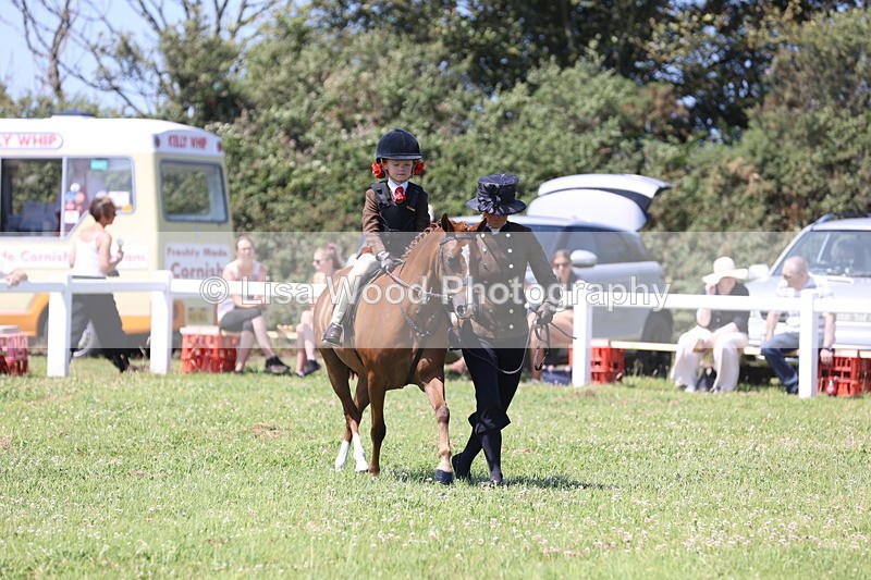 JPP_2290 - Class 20: Tiny Tots Working Hunter Pony