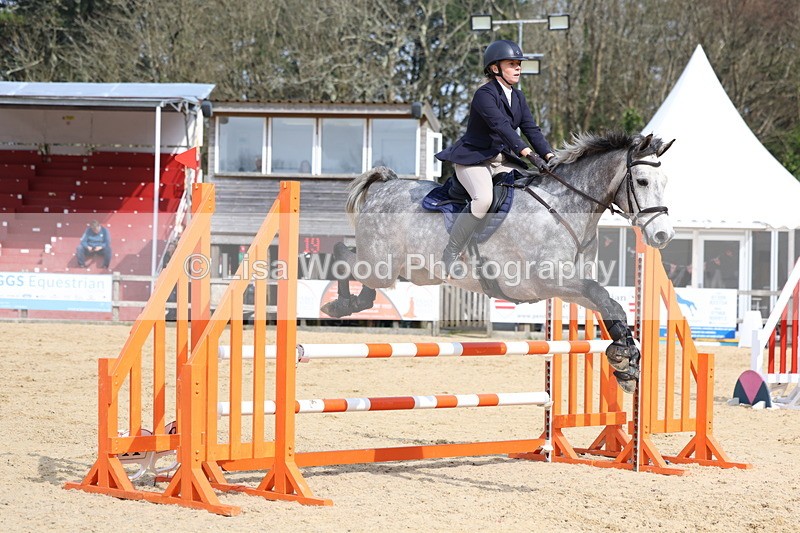 3E7A6807 - Class 4: Senior British Novice/90cm open
