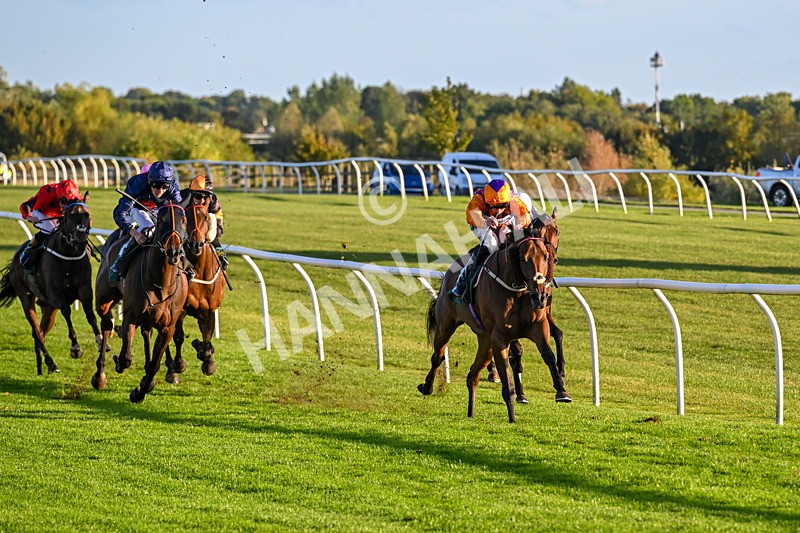300926-Race 7-Prince Of Calypso-7042 - Race 7 5.25pm Amstel Gallop Handicap