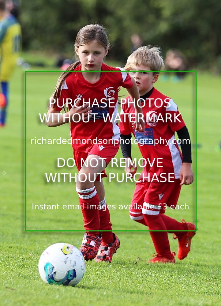 IMG_0582 - Ibis Under 7 vs Wattsfield Under 7 (28/9/24)