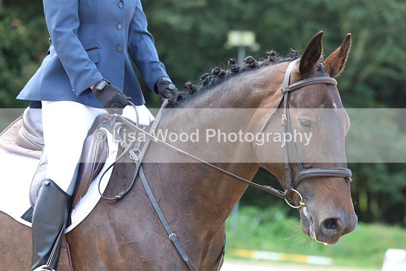 3E7A2183 - Class 1: Intro 4 2024 section A