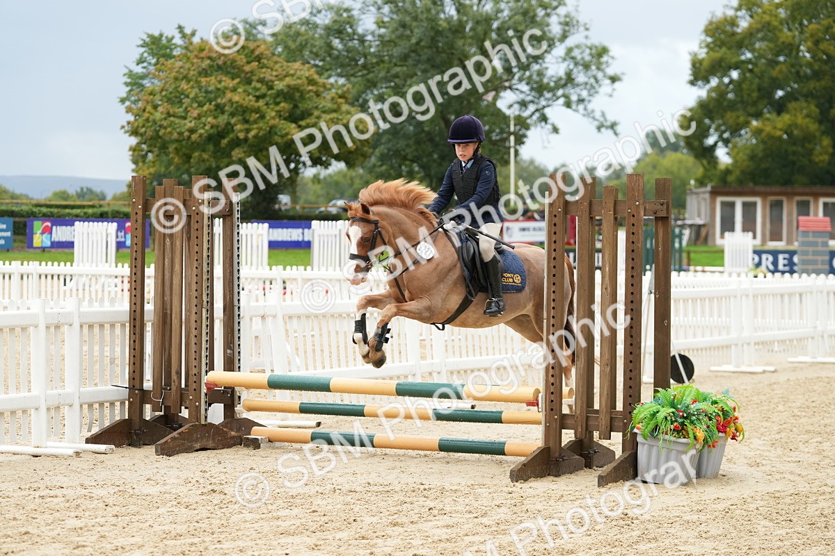 SBM_33403 - J5 - Junior Pony 50cm Championship