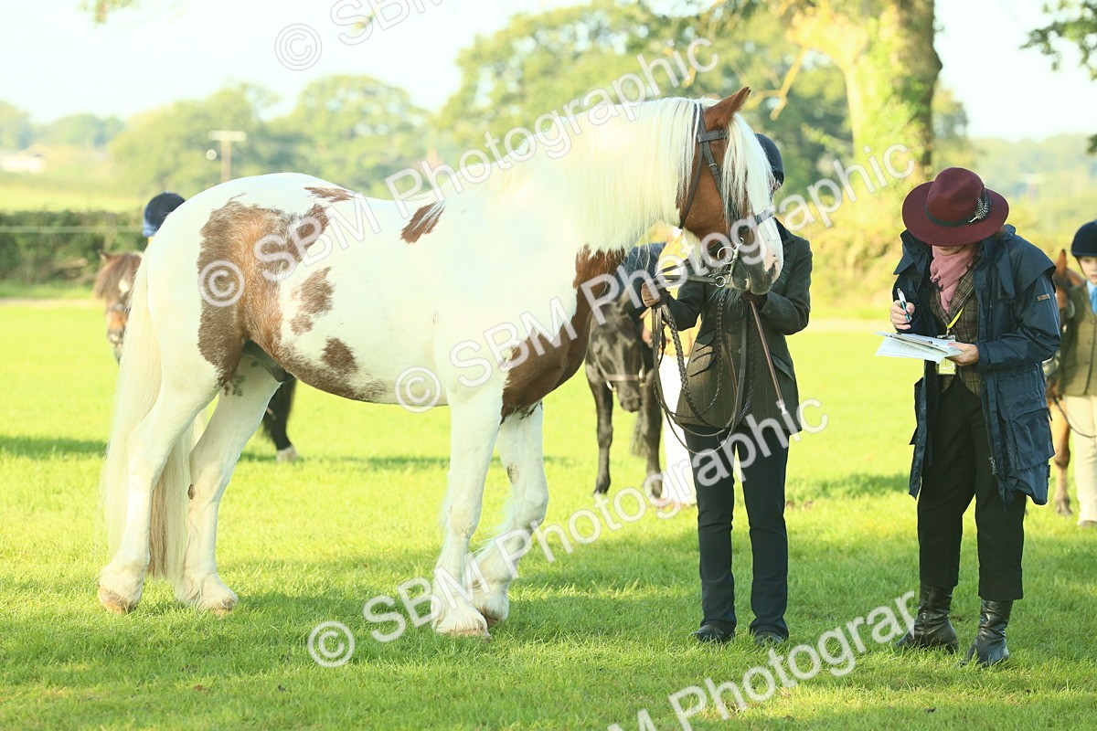 SBM_57525 - S37 - Starters In Hand Showing