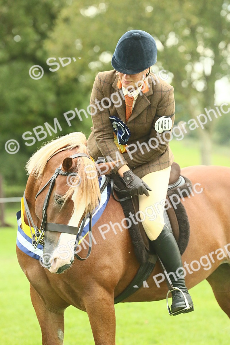 SBM_75213 - Super Supreme Championship