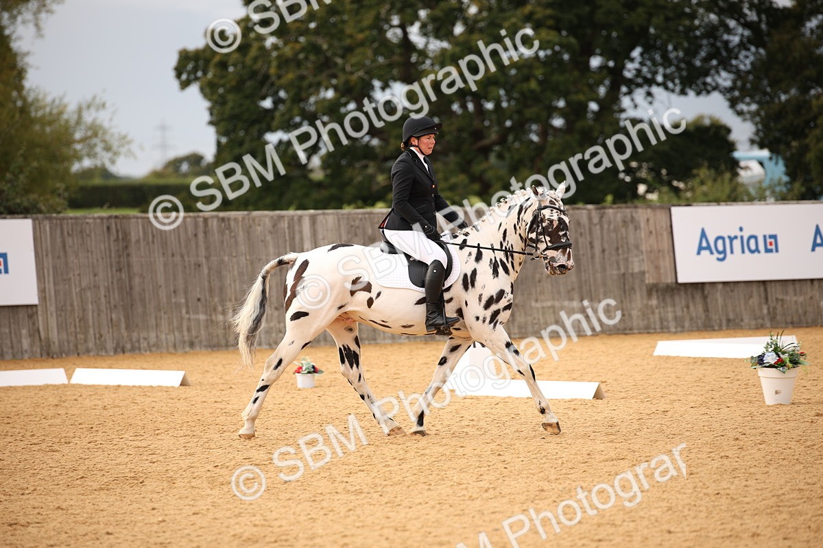 SBM_12291 - D3 Small  Tour Championship Intro A