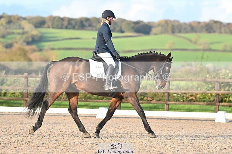 231105-153429-03077 - Cls 4 Novice 24 15.24 to 16.35 break