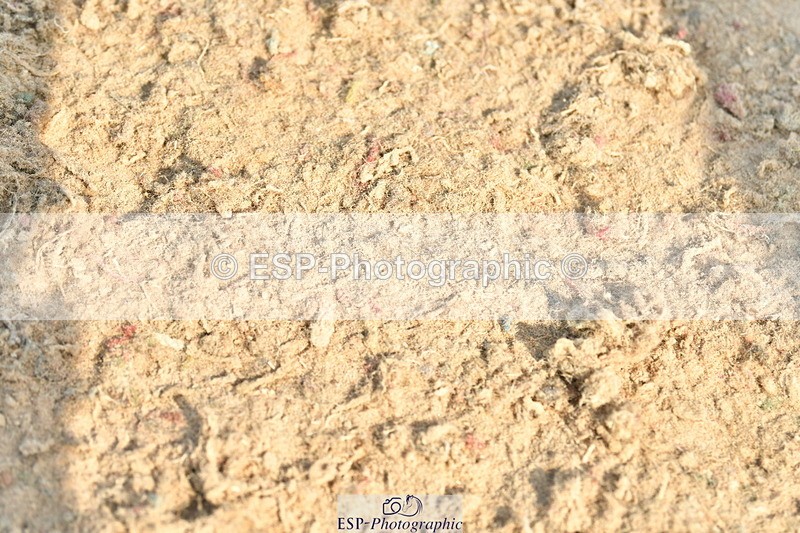 230721A-092659-04725 - Cls 26, 5 Yr Olds 1.10m