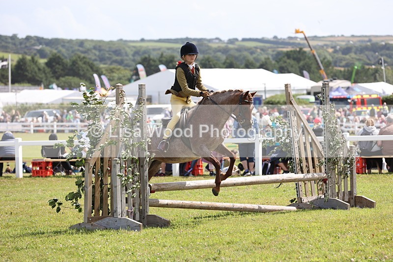 JPP_2134 - Class 19: Working Hunter 60cm