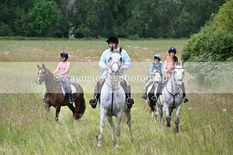 WJ6_8095 - Camera 1 Gallops