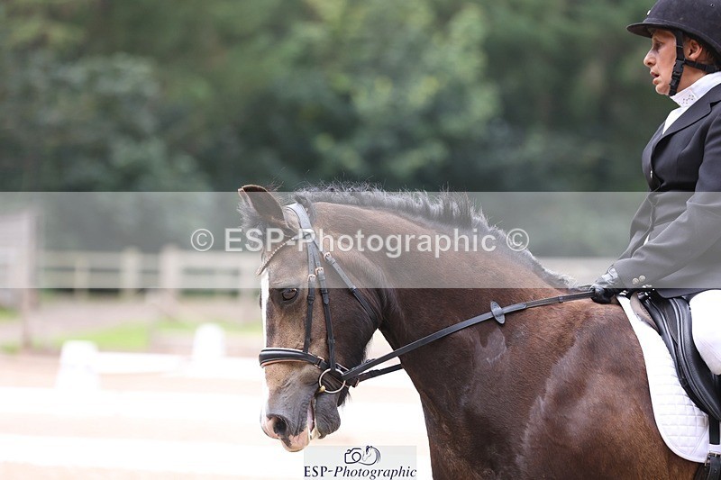 230812-102539-03220 - Cls 5 Novice Bronze Start to 10.55 break