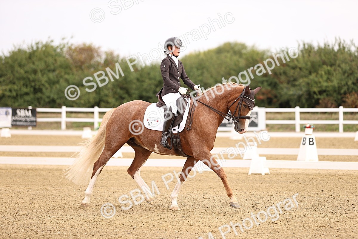 SBM_011539 - Class 1 - Medium 5