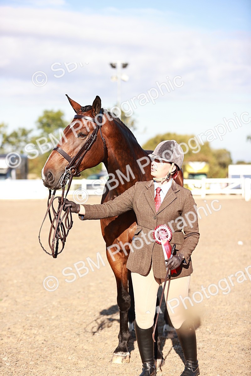 SBM_11219 - Class 401 - IH  Veteran horse