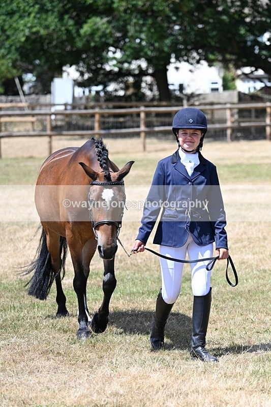 WJ7_2223 - Class 5 Most Handsome Gelding (up to 14.2hh) in hand